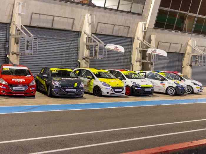 Volant 208 Racing Cup 1