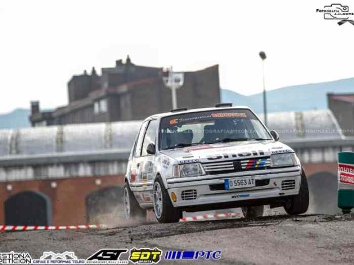 Peugeot 205 GTI Top Gr. A