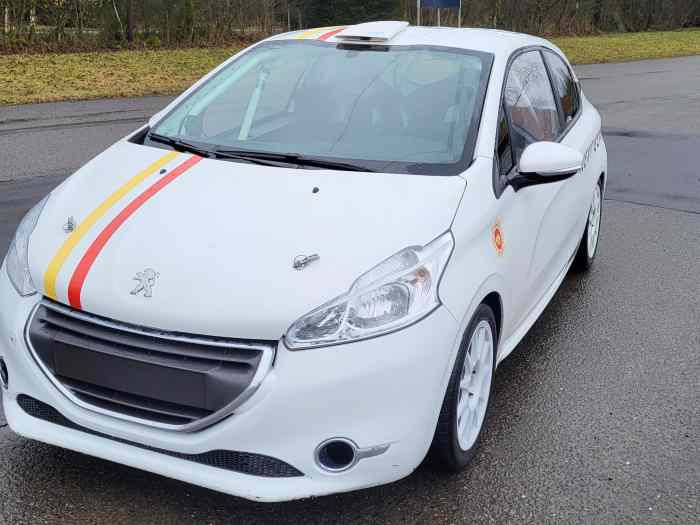 Peugeot 208 Racing Cup 1