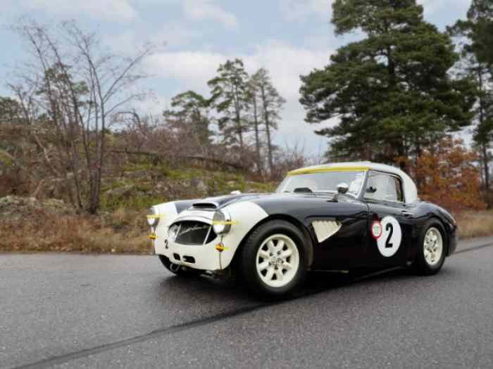 1959 Austin Healey 3000 MKI 4