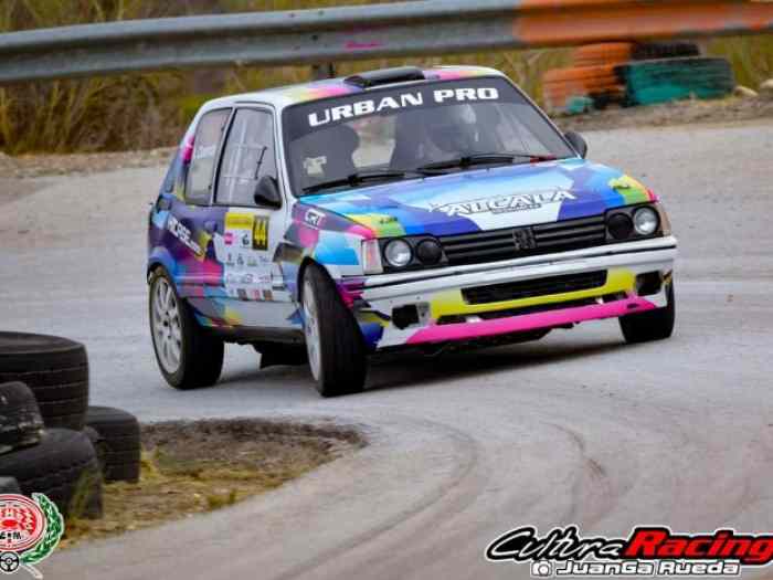 PEUGEOT 205 GTI 5