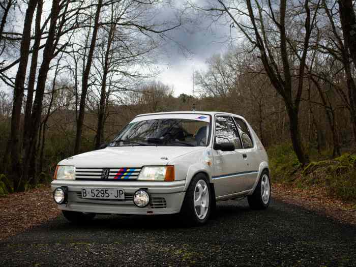 Peugeot 205 Rally