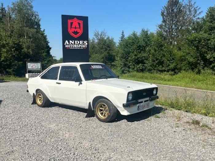 Ford Escort MK2 GP4 FIA