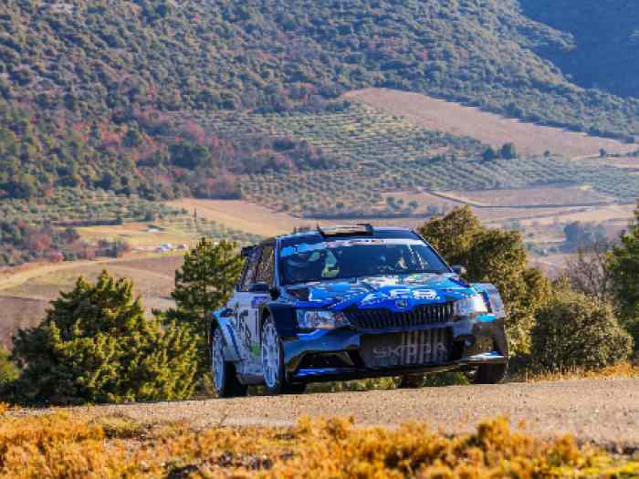 Skoda R5 top 2018