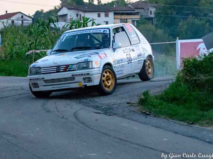 Peugeot 205 Rallye gr.A 1